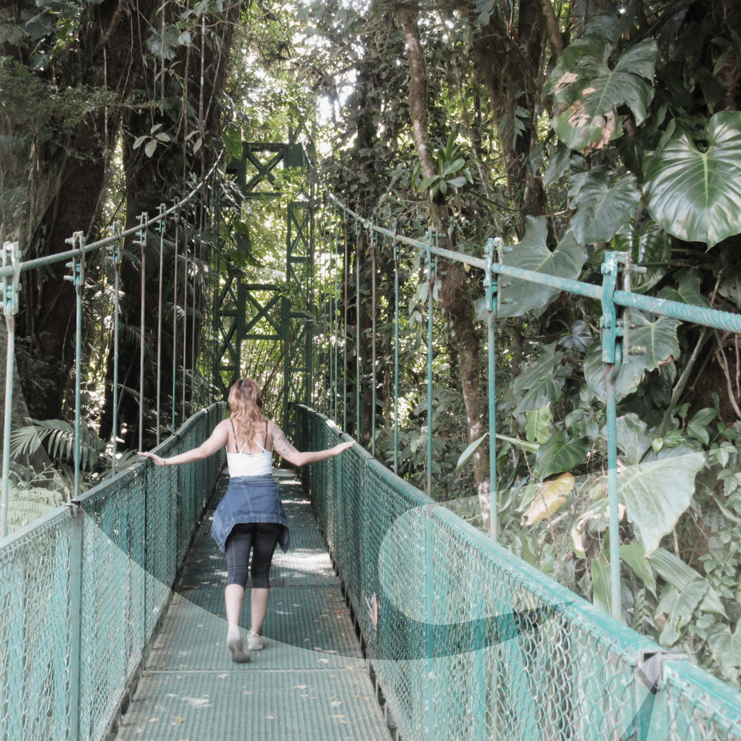 Vane Design, design graphique et événements au Québec